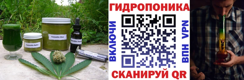 Cannafood конопля  Сланцы 
