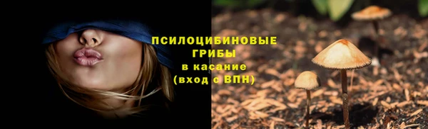 не бодяженный Семёнов