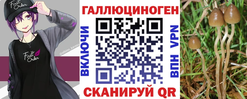 Псилоцибиновые грибы Psilocybe  Сланцы 
